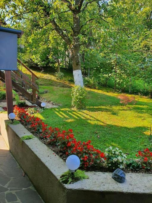 Casa Mea De Vacanta Baia Sprie Extérieur photo