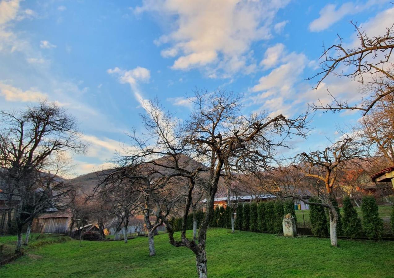 Casa Mea De Vacanta Baia Sprie Extérieur photo